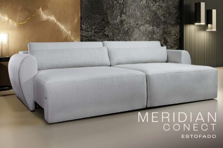 Meridian Conect